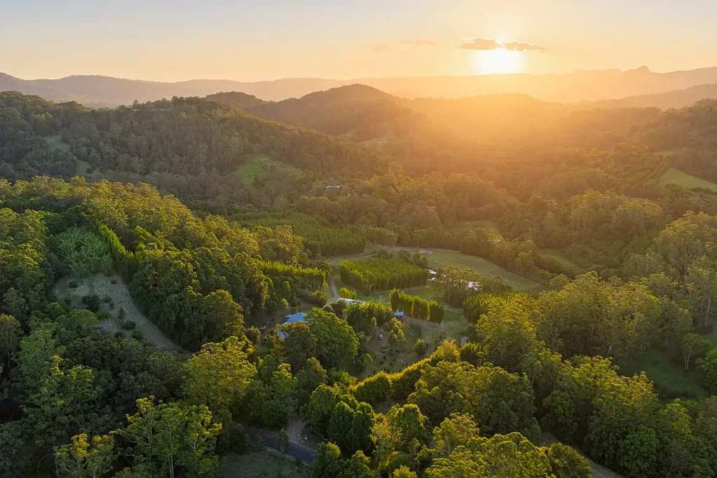 Lorne Premium Rural Acreage in Lorne - Two Homes + Converted Dairy Bales + Creek Frontage + Rich Pastures