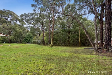 East Warburton Vacant Picturesque land, great value in a great location