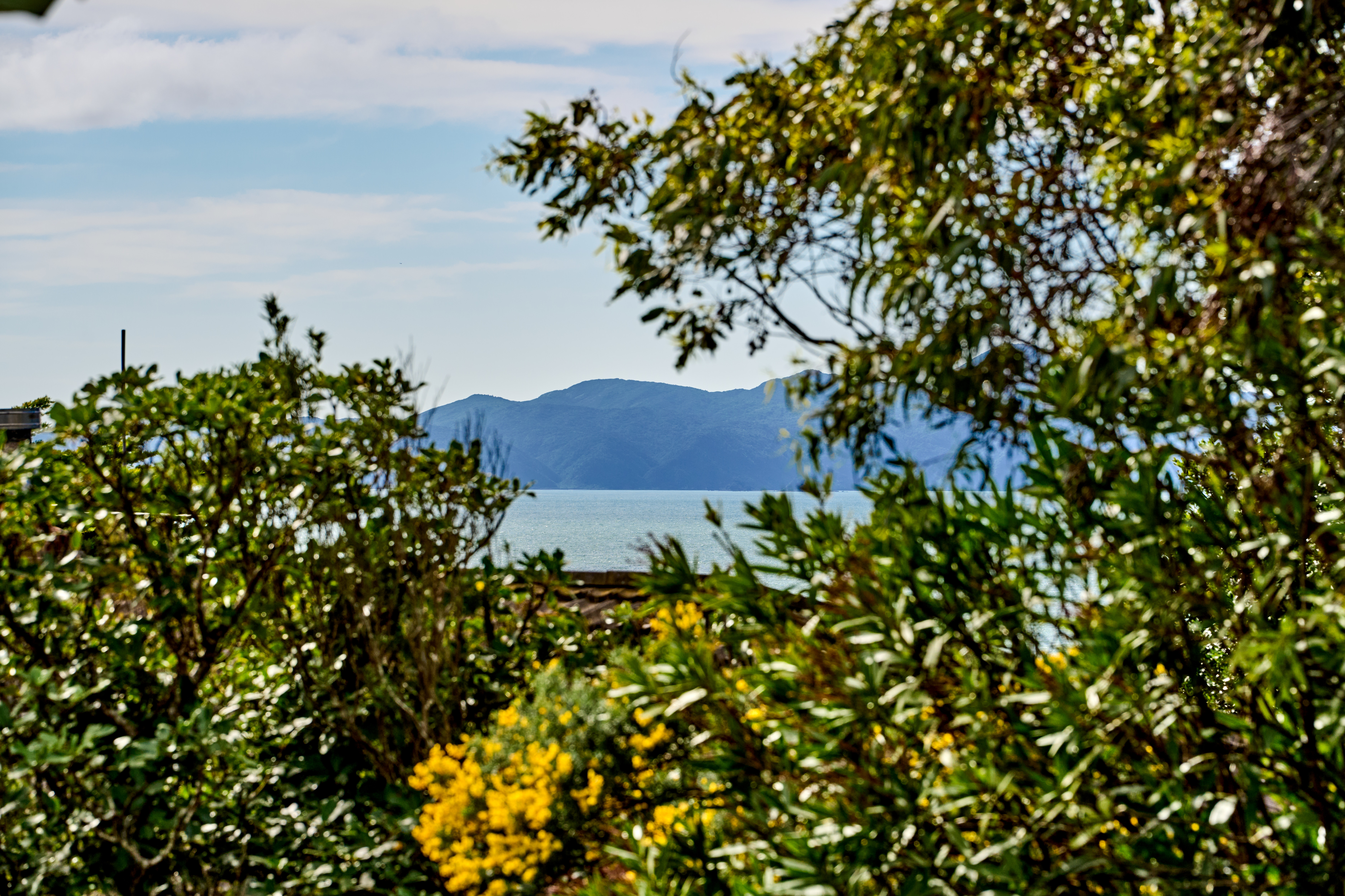 13 Pukerua Beach Road, Pukerua Bay, Porirua, 3 Schlafzimmer, 1 Badezimmer, House