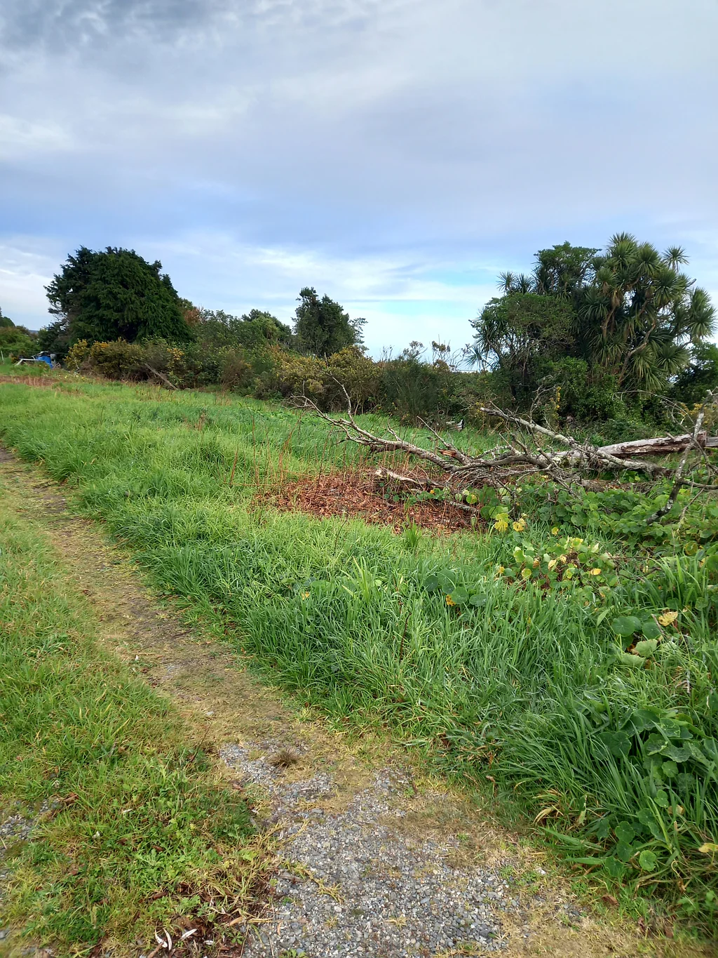 Lot 2 Greenfield Street, Hector, Buller, West Coast