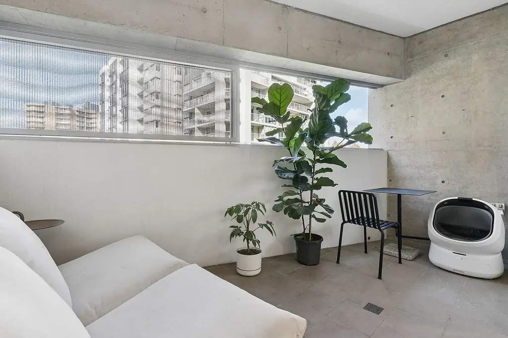 Surry Hills 1房 黄金地段东向公寓 宽敞一居室 带停车位 现代厨房 开放式生活区 近咖啡馆餐厅 便捷交通 Stylish Inner-City Living in the Heart of Surry Hills