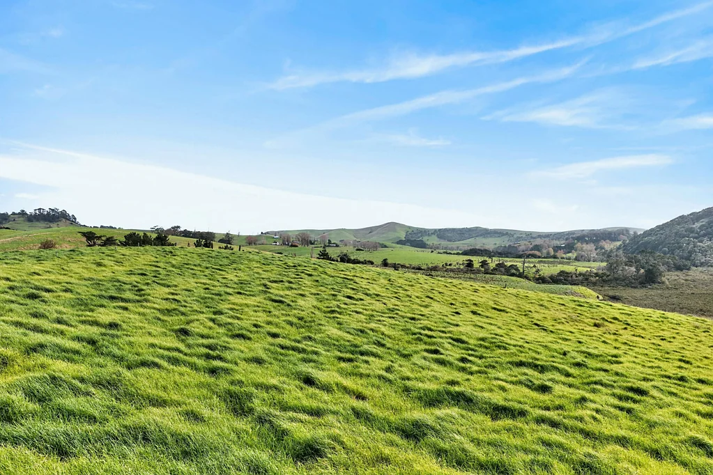 Tinopai Peaceful Rural Living with Endless Possibilities