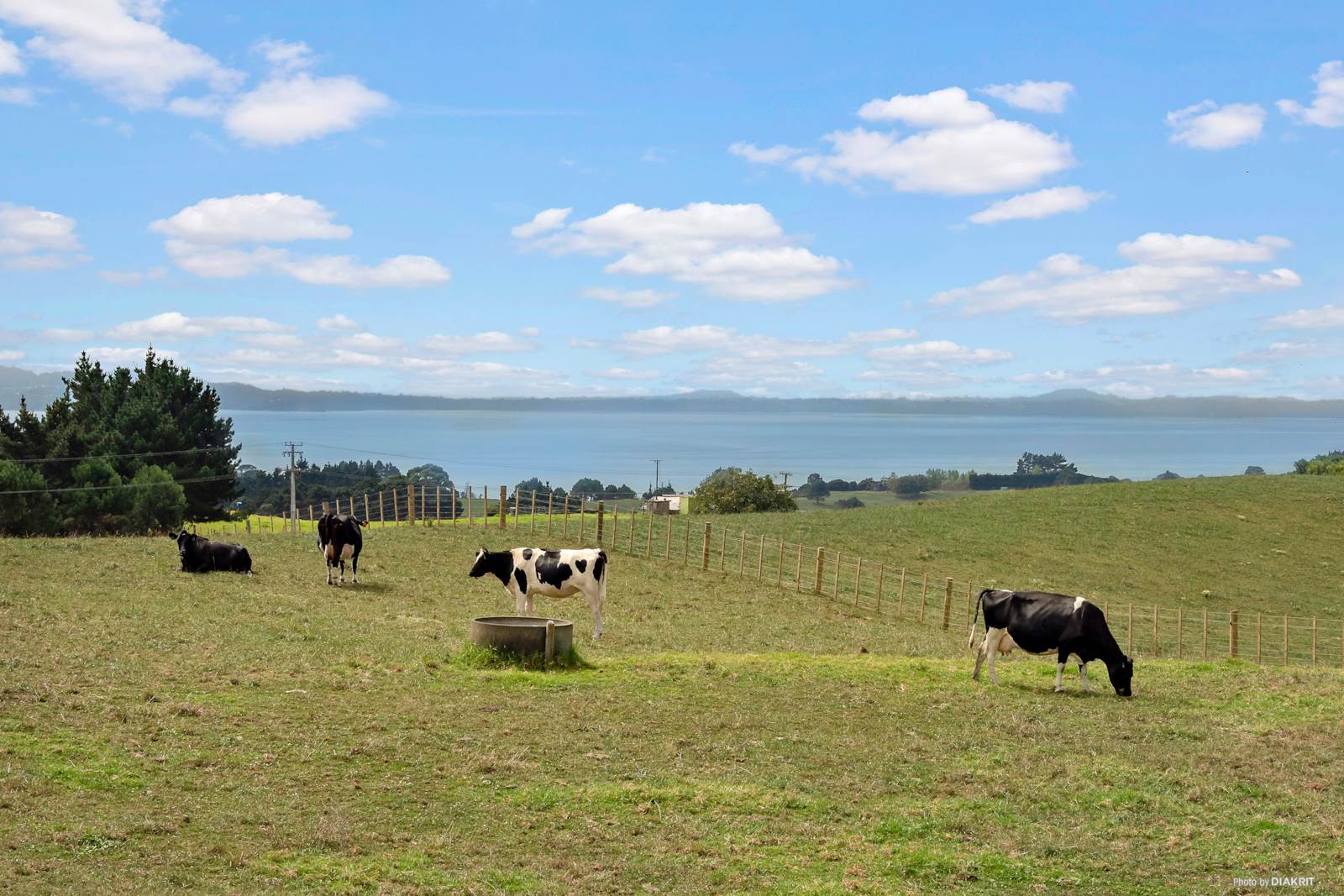 134 Grahams Beach Road, Manukau Heads, Auckland - Franklin, 0 રૂમ, 1 બાથરૂમ