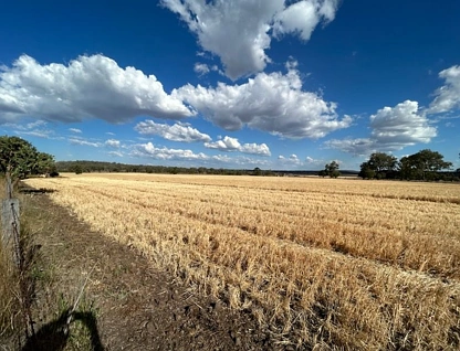 Lot 1 & 2/768 Oakey-Pittsworth Road, Aubigny, Darling Downs, 0部屋, 0バスルーム, Lifestyle Property