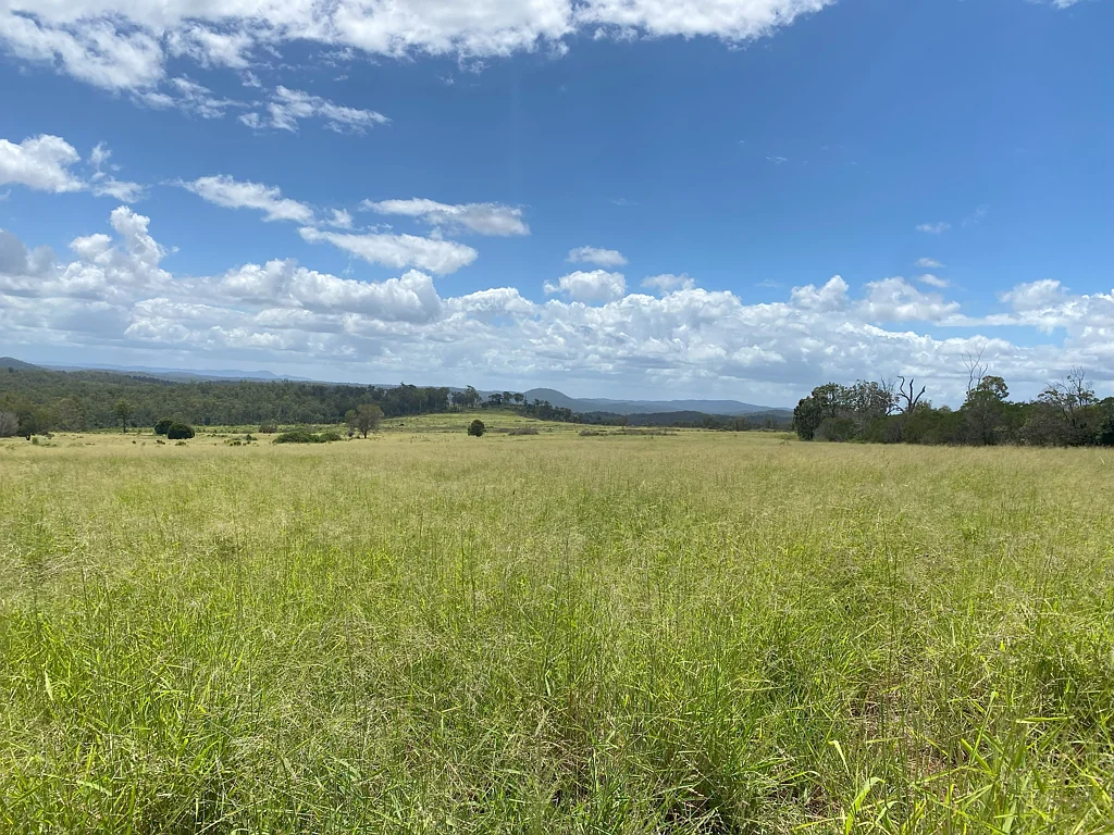 Monto 'Sunrise' - Backgrounding Bonanza