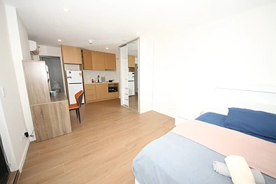 378 Liverpool Road, Ashfield, NSW 2131, 1房, 1浴, Studio