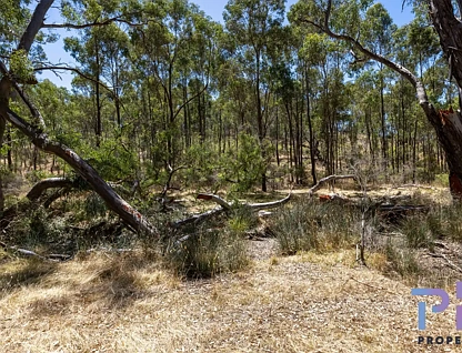 6 Ansen Road, Eppalock, VIC 3551, 0房, 0浴, Section