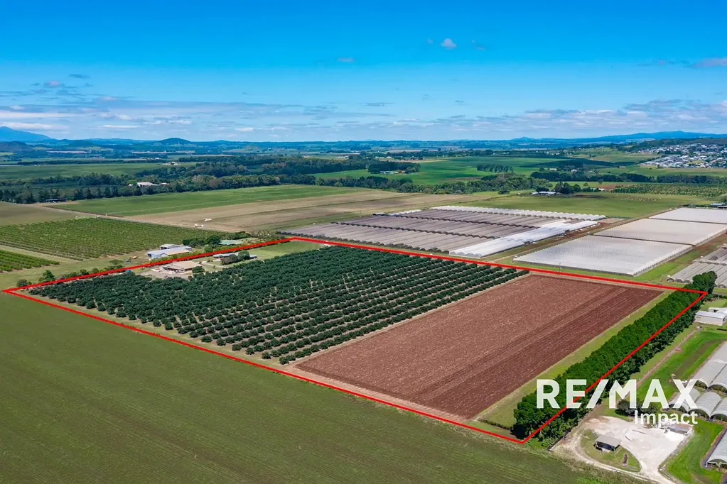 Atherton  30-Acre Farm in the Heart of the Atherton Tablelands - Ideal Avocado and Passionfruit Operation