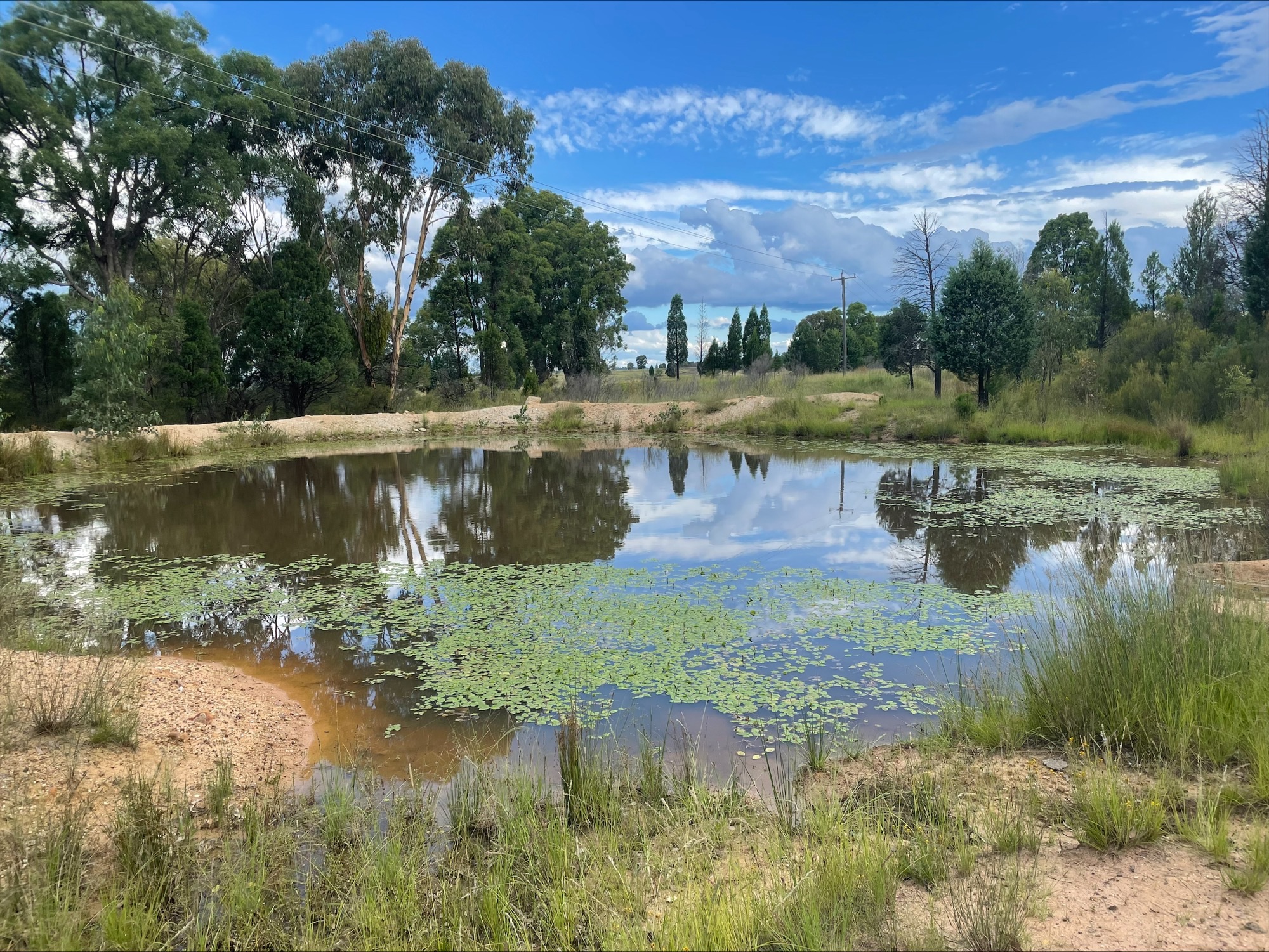 HOLLY FARM 6710 WARRUMBUNGLES WAY, COONABARABRAN NSW 2357, 0房, 0浴, Lifestyle Property