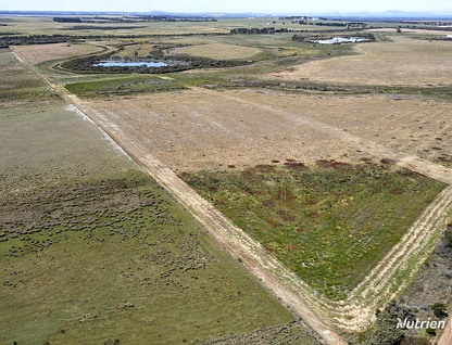 Lot 18 Coolgardie Highway, Esperance, Outback (South), 0房, 0浴, Lifestyle Property