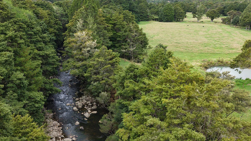 Kerikeri Surrounds  Private, Pretty, Peaceful