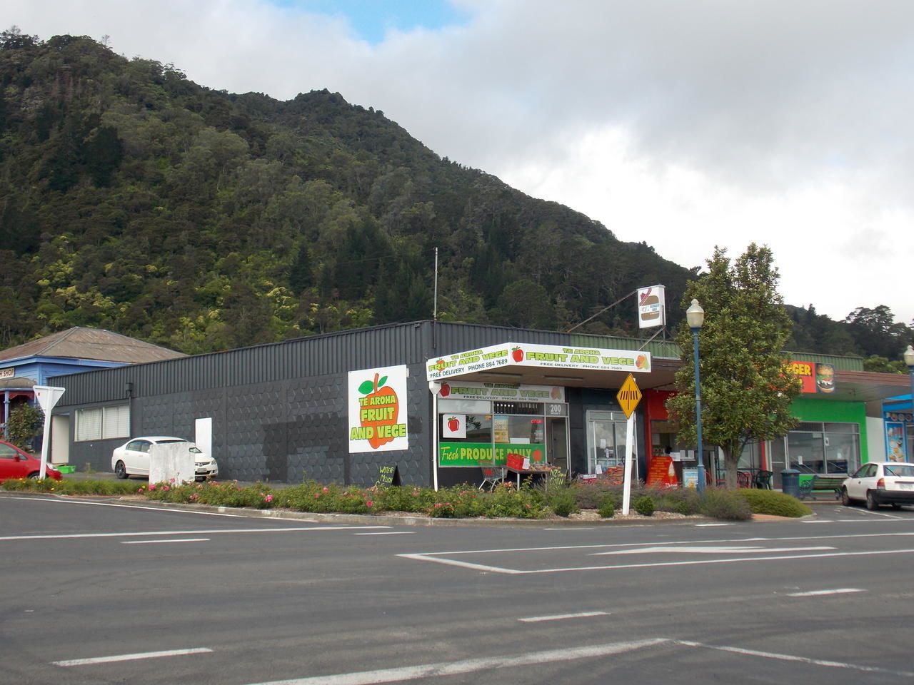 196 Whitaker Street, Te Aroha, Matamata, 0 રૂમ, 0 બાથરૂમ