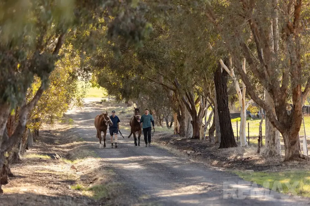 San Isidore 4Zimmer 31.4 Acres of Lifestyle & Premier Equine Infrastructure
