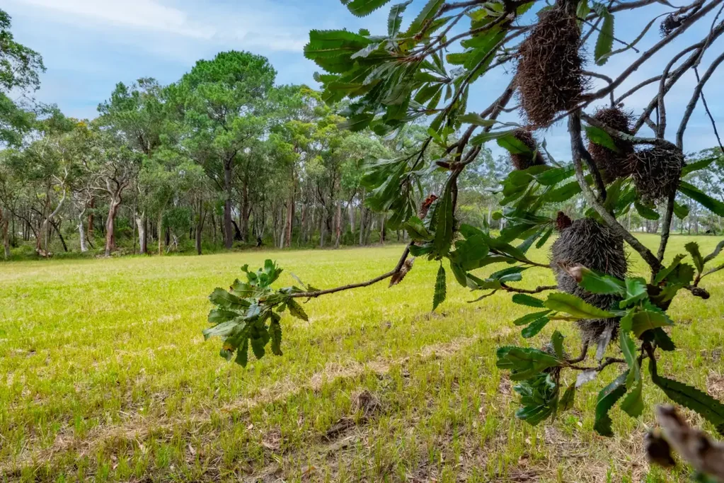 Somersby Beautiful Lifestyle Acres