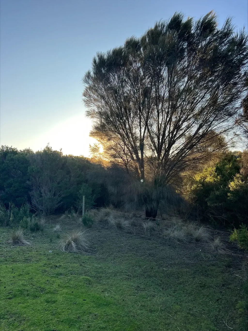 Whitemark Stunning Lifestyle Property - Lot 1 Bluff Road