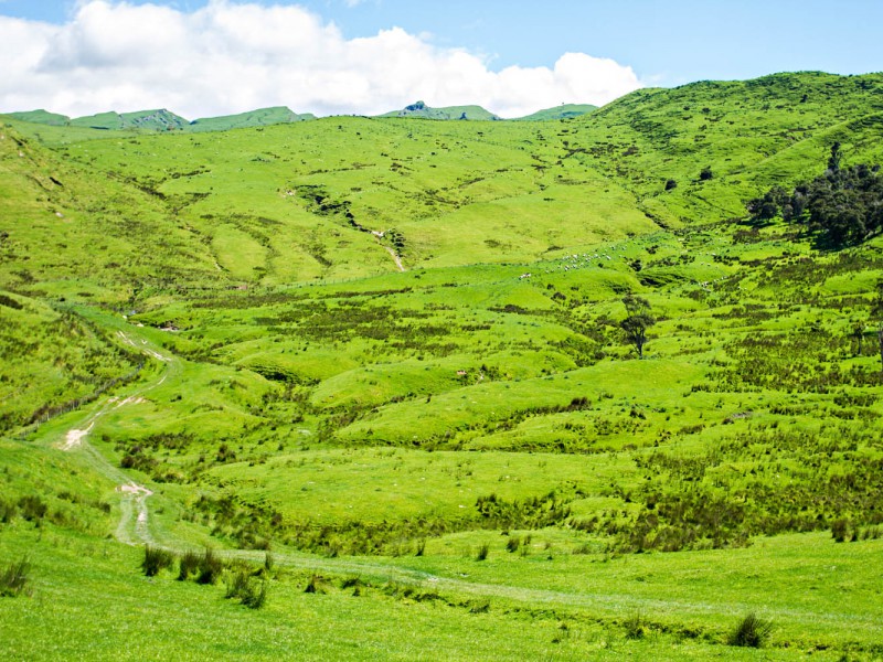 145 Rere Farm Settlement Road, Rere, Gisborne, 0 chambres, 0 salles de bain