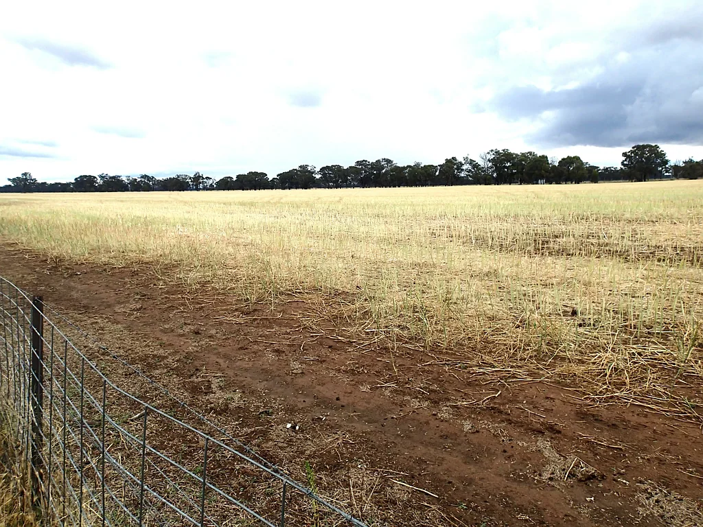 Norong  FOR SALE BY TENDER 96.29ha NORONG DISTRICT
