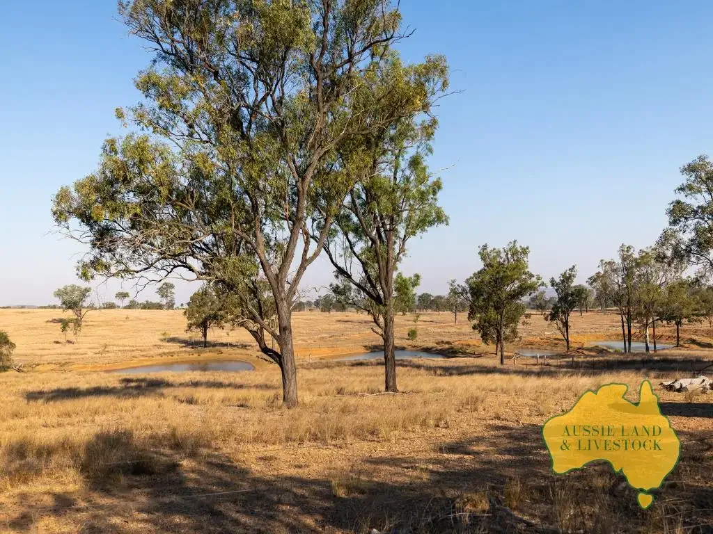 Mundubbera  Small Acreage Close to Town - Ready to Enjoy