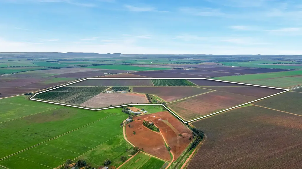 Kooba Premium Mixed Horticultural Enterprise