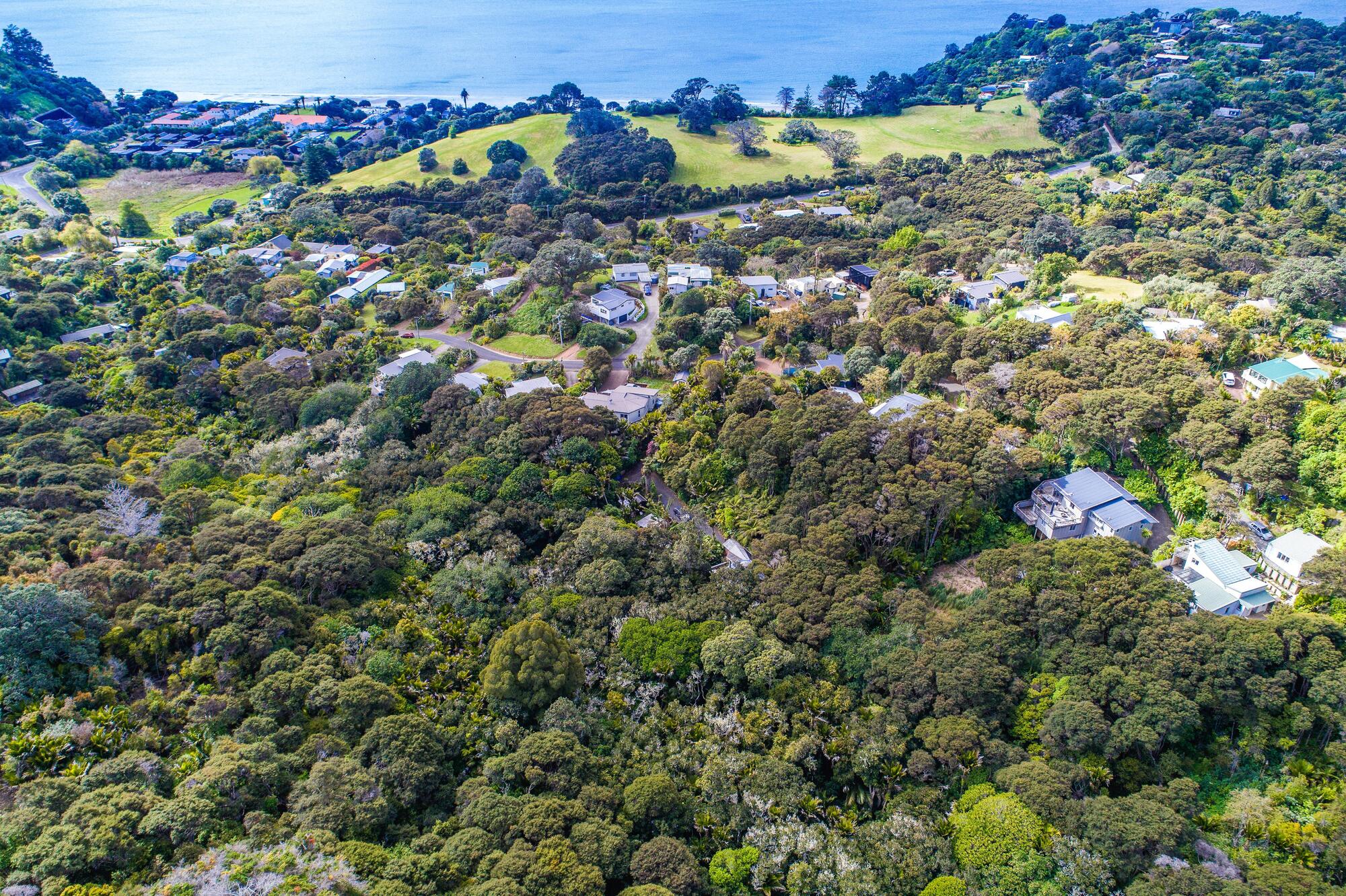 71 Victoria Road South, Onetangi, photo 4