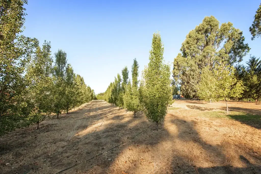 54 Keeble Way, Yackandandah, VIC 3749