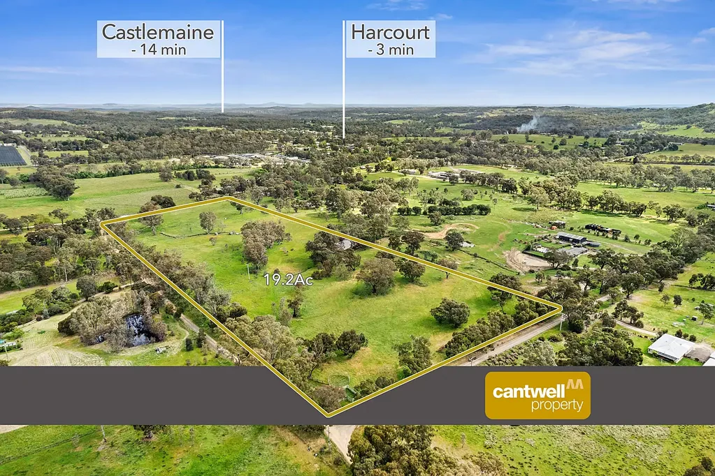 Harcourt Lifestyle, Location & Future Growth Opportunity