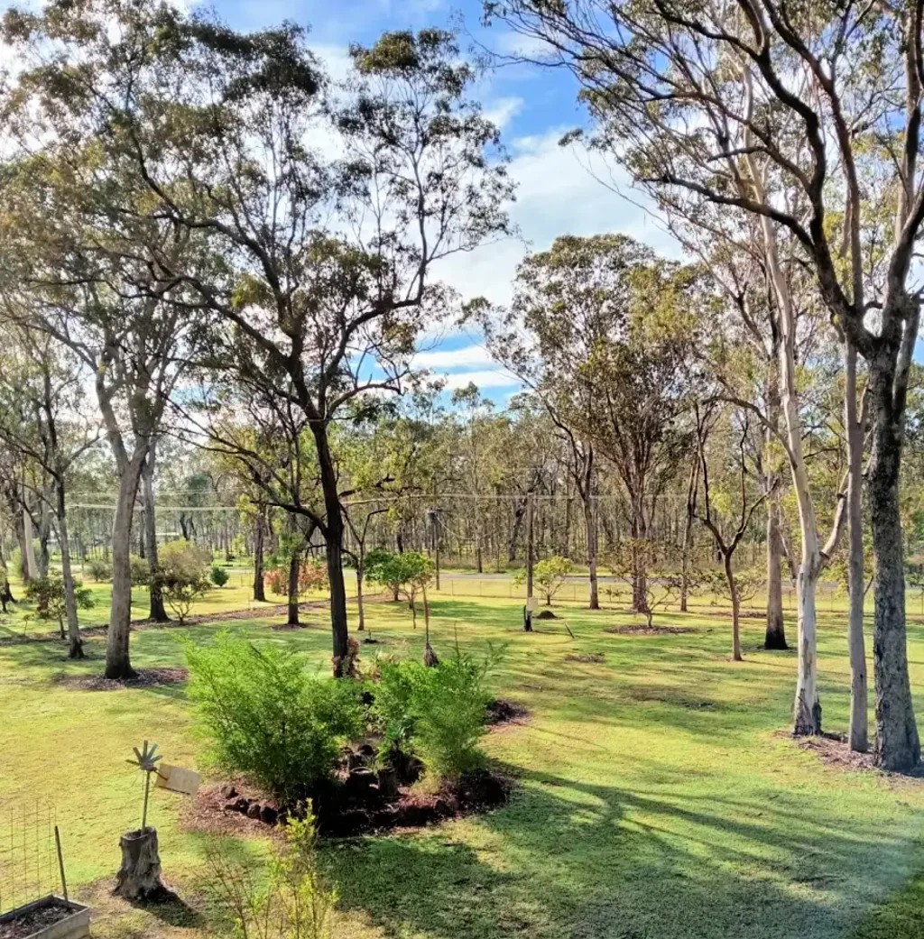 100 Western View Cres, Millstream, QLD 4888