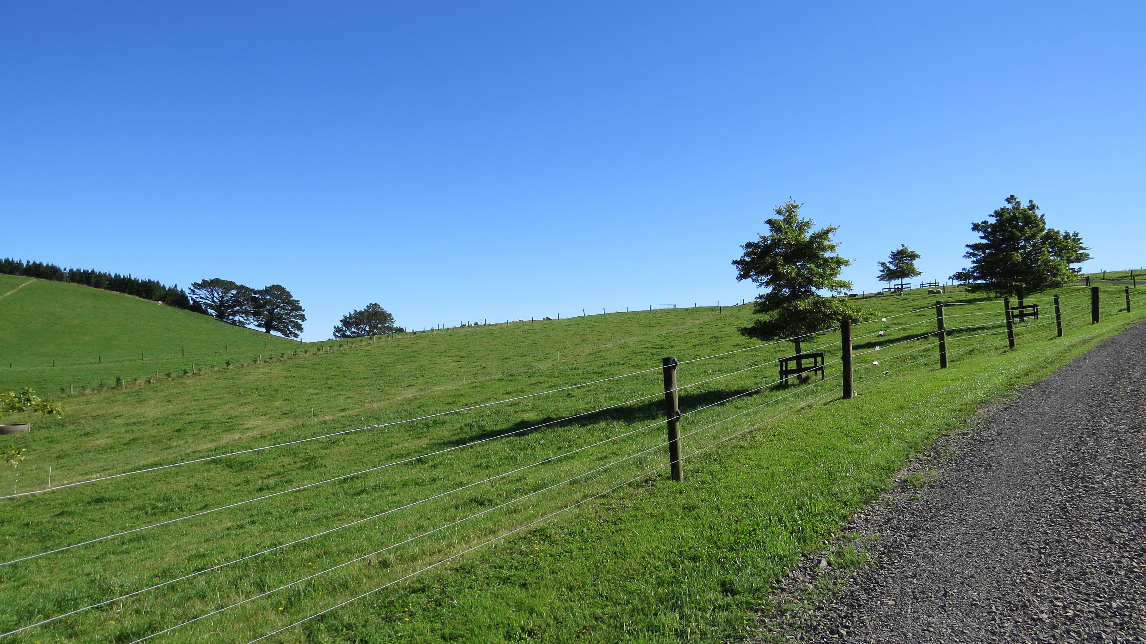 658 Te Kopia Road, Waikite Valley, Rotorua, 4房, 1浴, Grazing