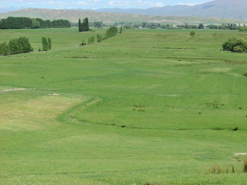 156 Racecourse Road, Omakau, Otago, 3 habitaciones, 1 baños