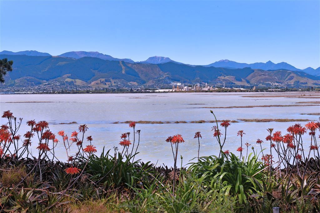 158 Barnett Avenue, Nelson Bays Coastal, Tasman, 3 rūma, 0 rūma horoi