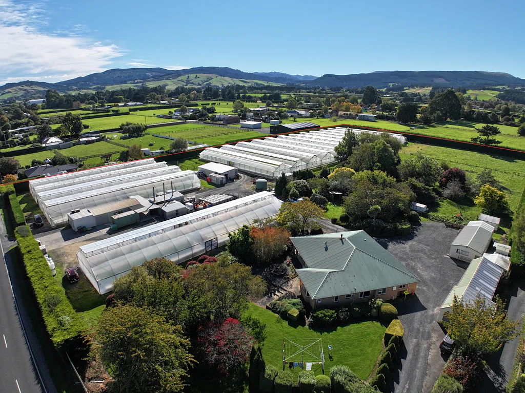 Mosgiel  Saddleview Greens Hydroponics