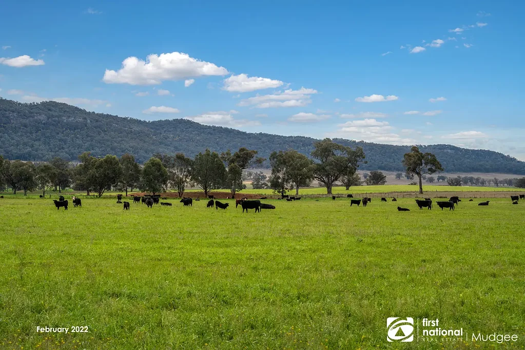 7458 Bylong Valley Way, Bylong, NSW 2849