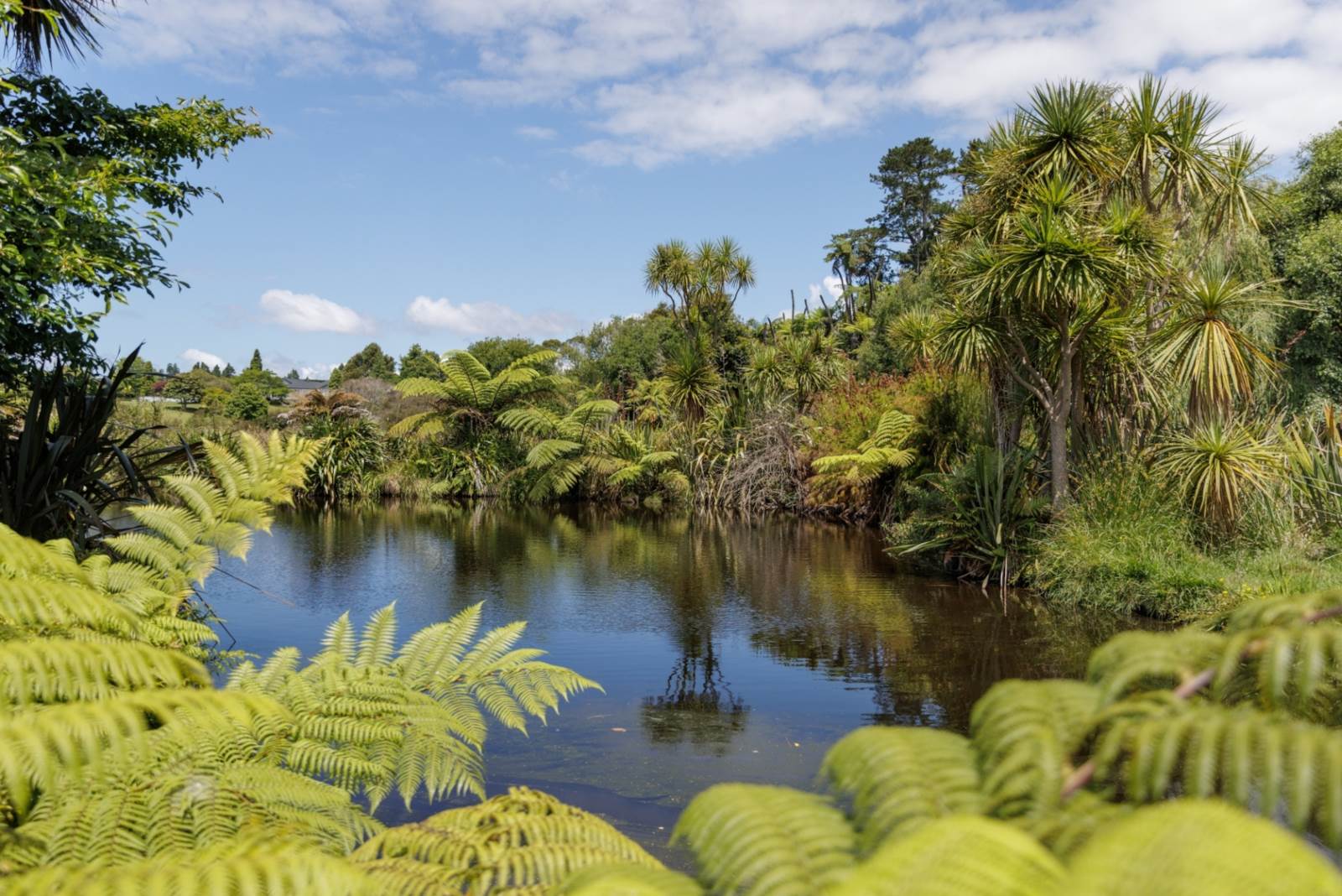 36 Waikaraka Drive West, Whakamarama, Bay Of Plenty, 0 chambres, 1 salles de bain, House