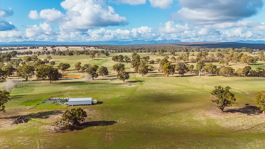 Gatum Reliable Southern Country!