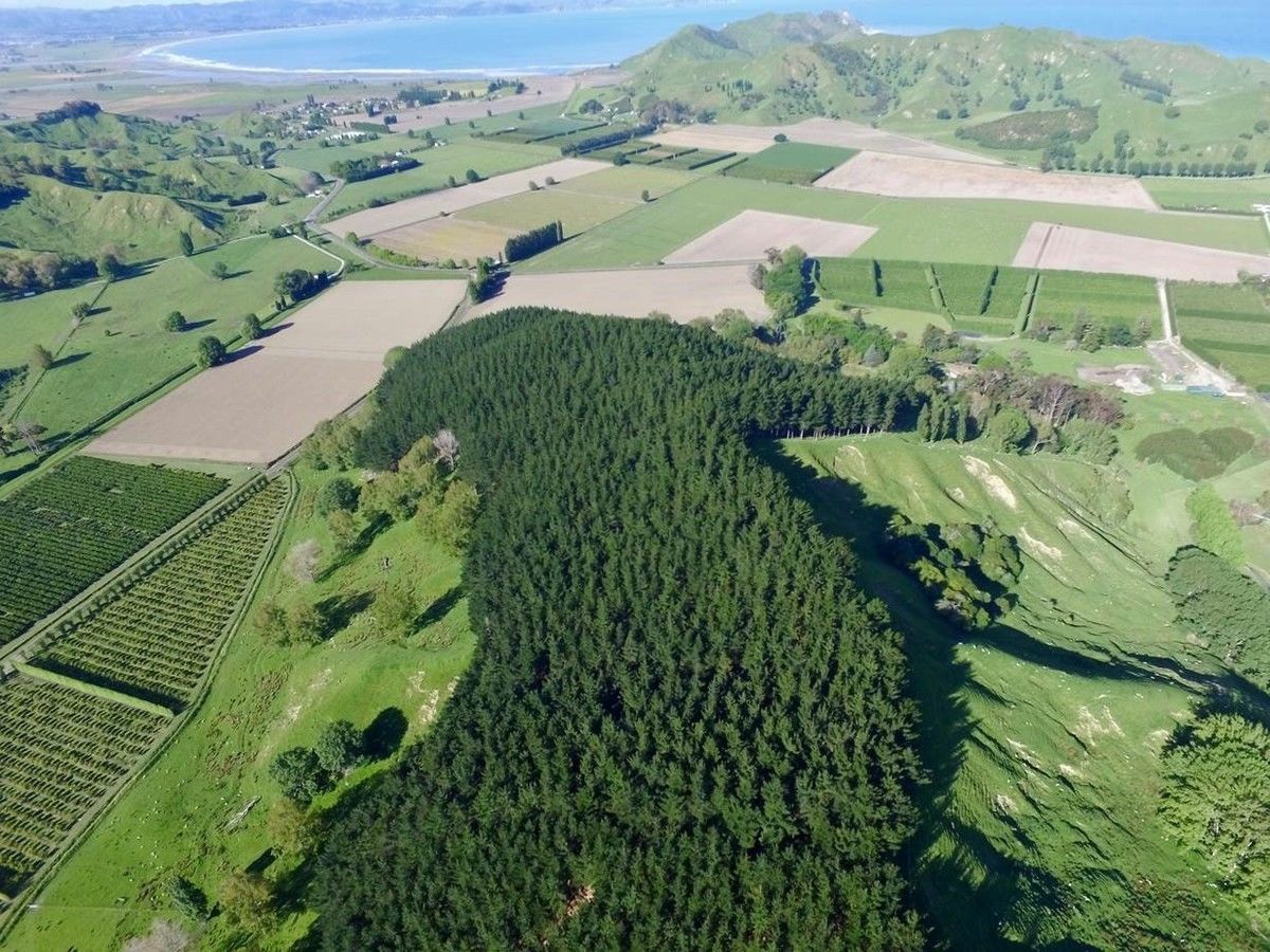 Williams Road, Muriwai, Gisborne, 0 rūma, 1 rūma horoi