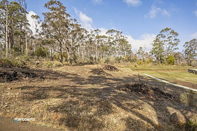 42 Hill Street, Geeveston, TAS 7116, 0房, 0浴, Section