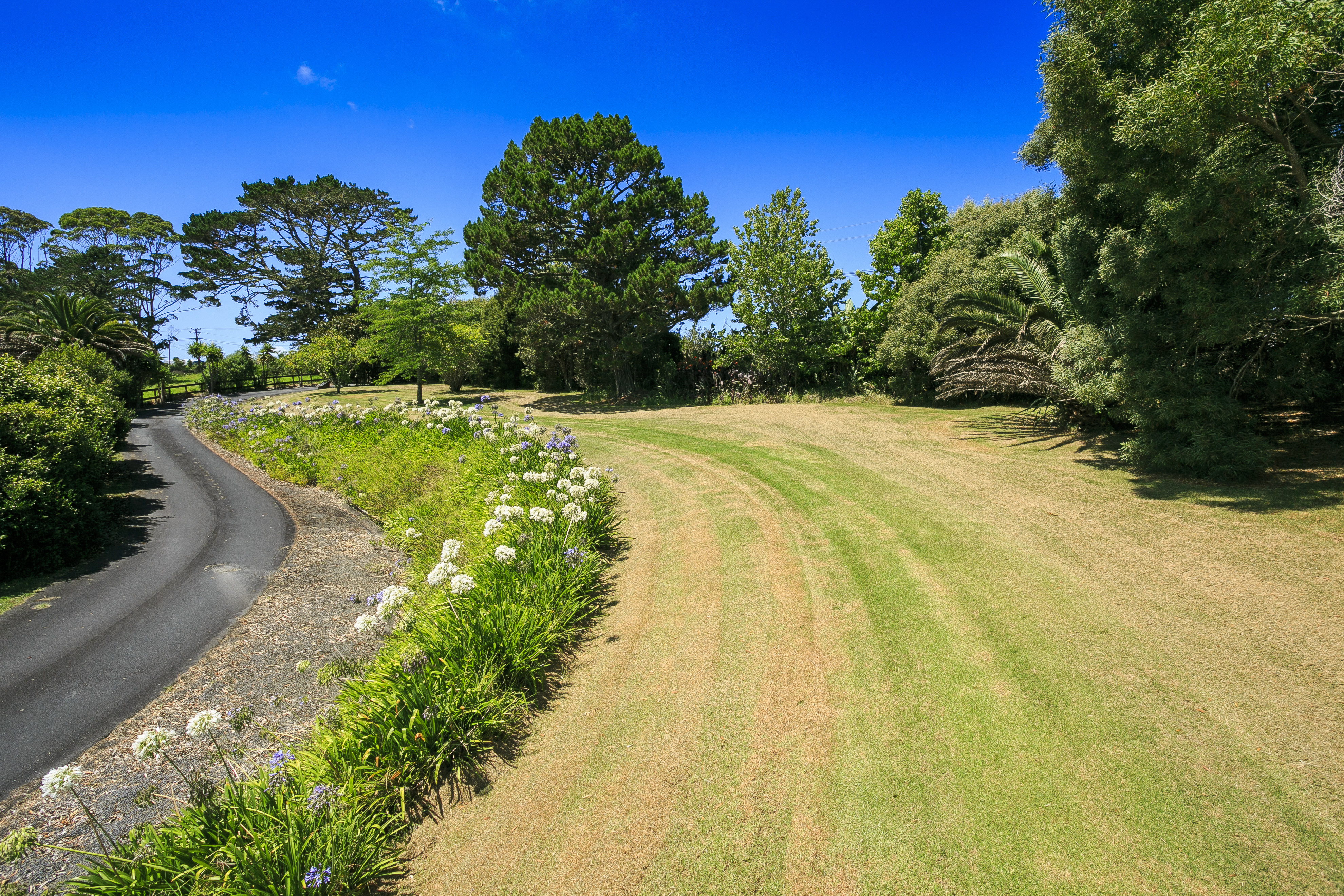 104 Potter Road, Dairy Flat, Auckland - Rodney, 4房, 2浴