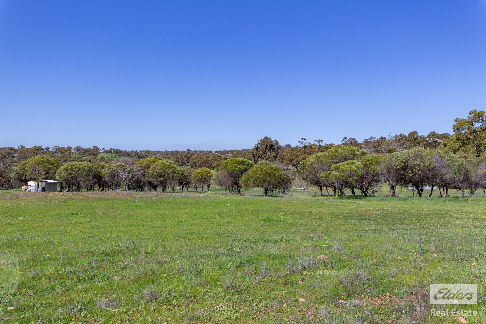 62 FERGUSON RD, COONDLE WA 6566, 0 rūma, 0 rūma horoi, Section