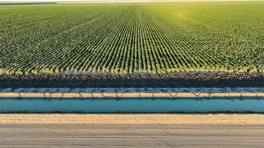 Moree Eureka Aggregation