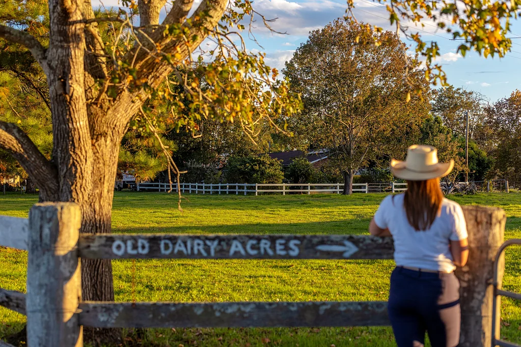 Taree  Outstanding Convenience & Productivity