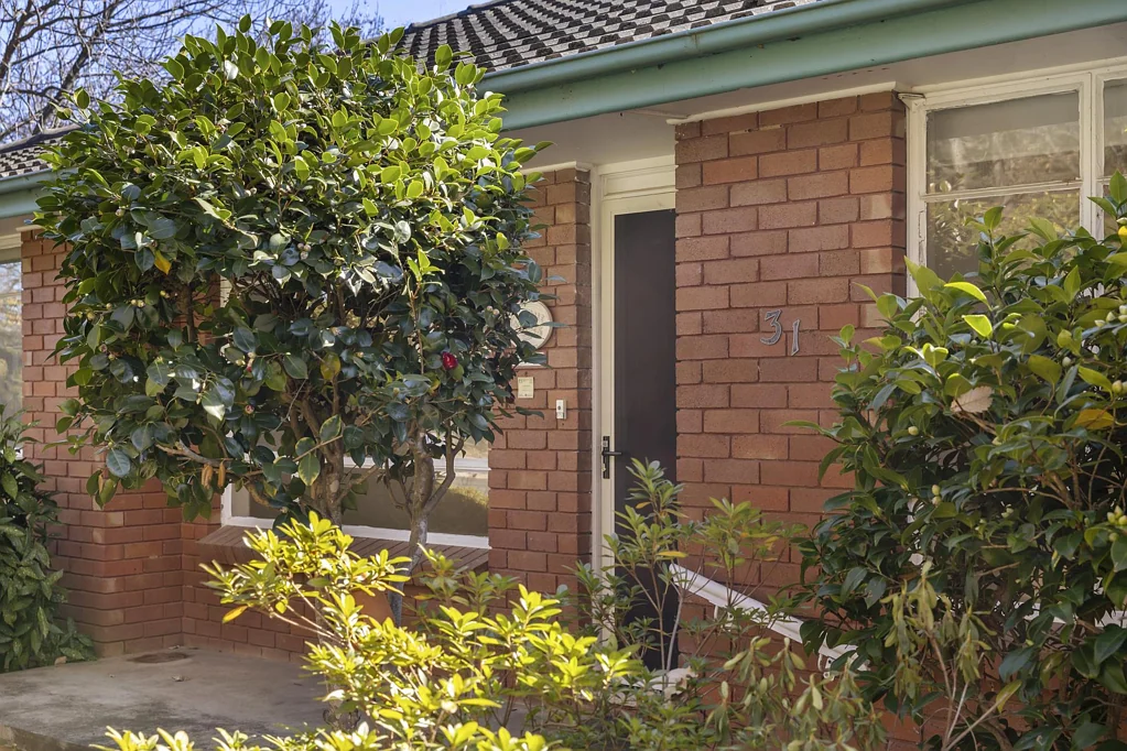 31 Irvine Street, Watson, ACT 2602