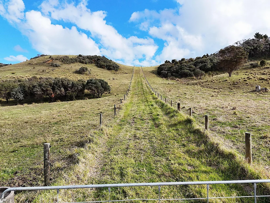 Dargaville Off The Grid