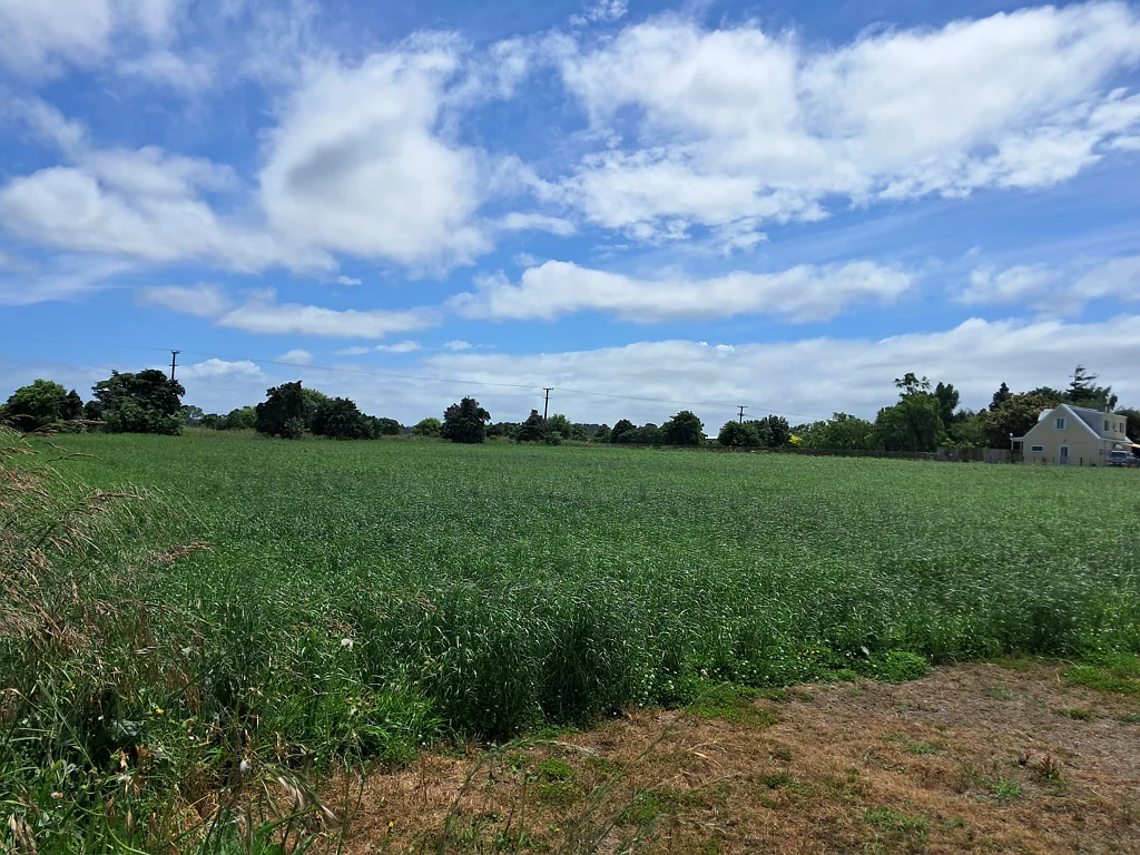 Feilding  Feilding Find