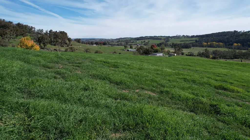 Tumbarumba  580 Batlow Road, Tumbarumba, Your Ideal Weekend Escape on 40.08ha