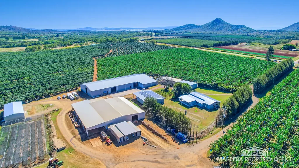 Walkamin  TURNKEY HORTICULTURE FARM ON 272 ACRES WITH PACKING SHEDS