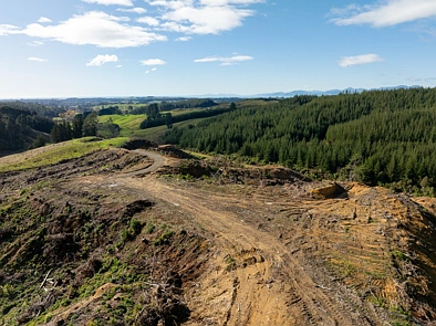 Supplejack Valley Road, Upper Moutere, Tasman, 0 Bedrooms, 0 Bathrooms, Lifestyle Section