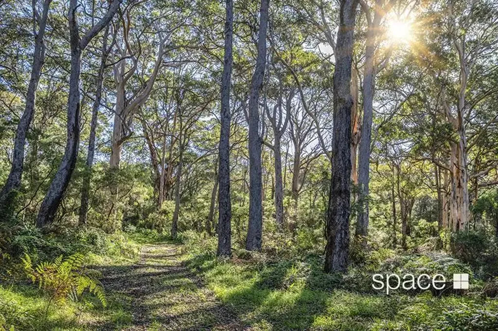 Hamelin Bay Boranup Forest