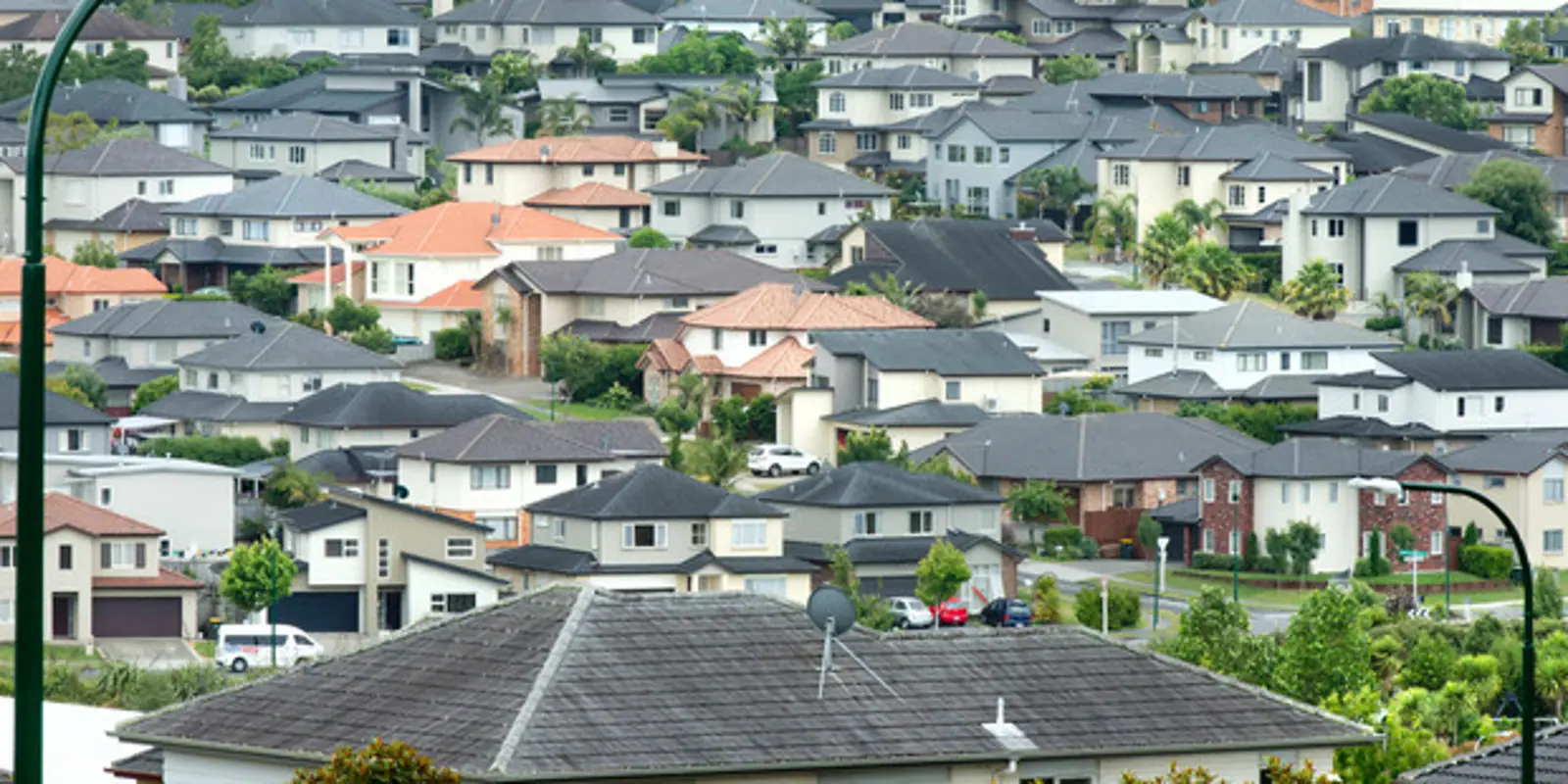 REINZ:奥克兰1月房价环比下跌4.2%!