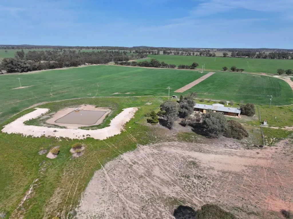 West Wyalong Great Starter Block