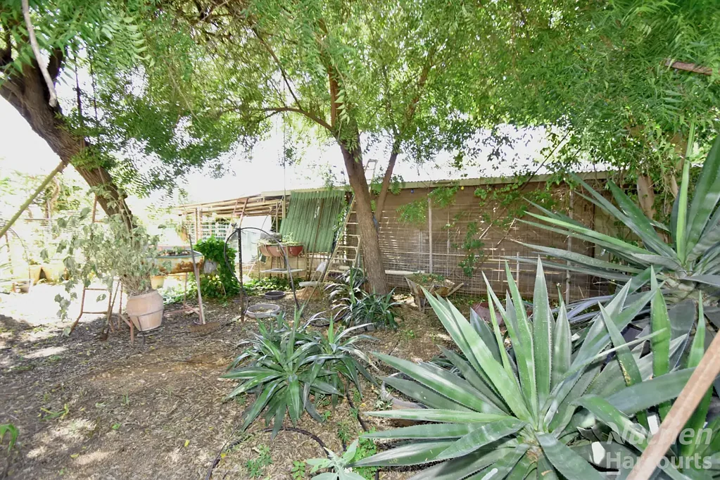 Tennant Creek 3 Bedroom Make it Your Own!